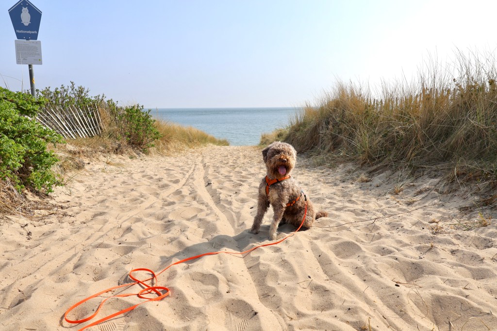 30. August 2026 | Dein Perfect Match